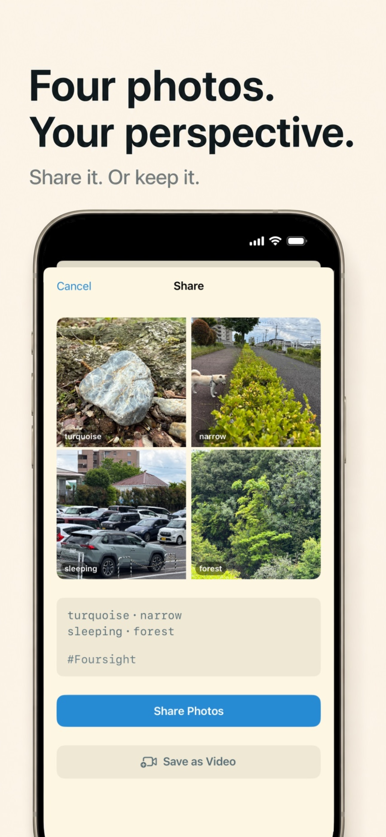 Foursight screenshot — personal collection